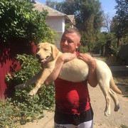 ���������� ������, ���� ������� ���������, 37 ���, ������������ ��� ������, ����� � ���������, c�������� ���������