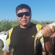  ,   , 51 ,   