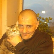  ,   , 54 ,     , 