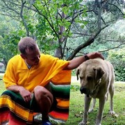 ���������� �����������, ���� ������� ���, 39 ���, ������������ ��� ������, ����� � ���������, c�������� ���������