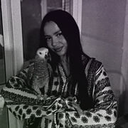 ���������� �����������, �����