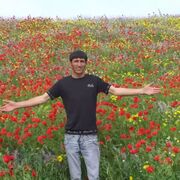 ���������� �������, ���� ������� �����, 40 ���, ������������ ��� ������, ����� � ���������