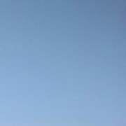  ,   Nikolae, 33 ,   