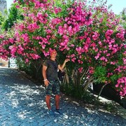 ���������� �������, ���� ������� Fatih, 45 ���, ������������ ��� ������, ����� � ���������, c�������� ���������