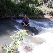 ���������� Praha, ���� ������� Tural, 45 ���, ������������ ��� ������, ����� � ���������, c�������� ���������