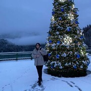 ���������� ����, ���� ������� �����, 43 ����, ������������ 