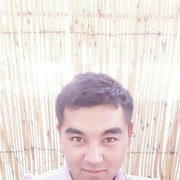  ,   Shoxruh, 32 ,     , c , 