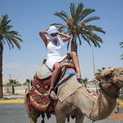 ���������� �������, ���� ������� Lena, 40 ���, ������������ ��� ����� � ���������, c�������� ���������, ���������