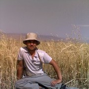 ���������� ������, ���� ������� ����, 43 ����, ������������ ��� ������, ����� � ���������, c�������� ���������