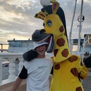 ���������� ������, ���� ������� ������, 28 ���, ������������ ��� ������, ����� � ���������, c�������� ���������, ���������