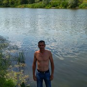 ���������� ���������, ���� ������� Niv, 50 ���, ������������ ��� ����� � ���������, c�������� ���������