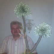  ,   , 56 ,   