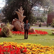  ,   , 41 ,   ,   , c 