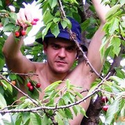  ,   Serj, 47 ,     , c 