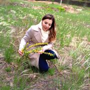 ���������� ������, ���� ������� �����, 31 ���, ������������ ��� ������, ����� � ���������