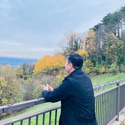  Frankfurt am Main,   Miller, 55 ,     , c 