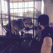 ���������� ������, ���� ������� Yasin, 29 ���, ������������ ��� ������, ����� � ���������, c�������� ���������, ���������