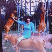 ���������� �����������, ���� ������� �������, 72 ����, ������������ ��� ����� � ���������