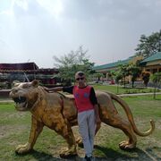  ,   , 46 ,     , c 