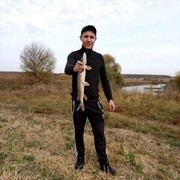 ���������� ����, ���� ������� ������, 38 ���, ������������ ��� ������, ����� � ���������, c�������� ���������