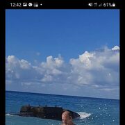  --,   , 54 ,   