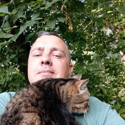 ���������� ������, ���� ������� ����, 46 ���, ������������ ��� ������, ����� � ���������, c�������� ���������