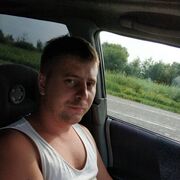  ,   Kasius, 37 ,   