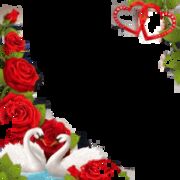 ���������� ���������, ���� ������� �����, 37 ���, ������������ ��� ������, ����� � ���������