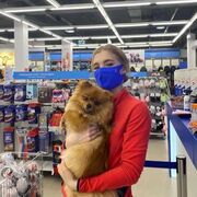 ���������� ������, ���� ������� ������, 24 ����, ������������ ��� ������, ����� � ���������