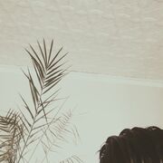 ���������� �����������, ���� ������� ������, 27 ���, ������������ ��� ������, ����� � ���������, c�������� ���������