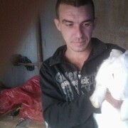   ,   , 39 ,   c , 