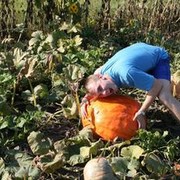 ���������� ��������������, ���� ������� �����, 38 ���, ������������ ��� ������, ���������