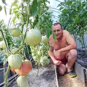 ���������� ������, ���� ������� ����, 55 ���, ������������ ��� c�������� ���������