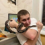 ���������� ������, ���� ����� ����, 23 ����, ������������ ��� ������, ����� � ���������, c�������� ���������