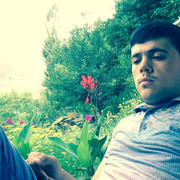 ���������� �������, ���� ������� ������, 37 ���, ������������ 