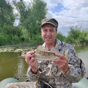 ���������� ������, ���� ������� ������, 55 ���, ������������ ��� ������, ����� � ���������, c�������� ���������