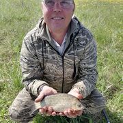 ���������� ���������, ������� Sergei, 50