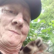  ,   , 60 ,   ,   