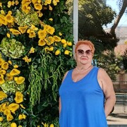 ���������� �������, ���� ������� ����, 64 ����, ������������ ��� ����� � ���������, c�������� ���������