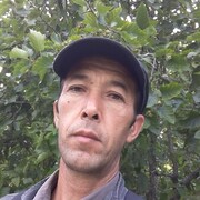 ���������� ������, ���� ������� �����, 49 ���, ������������ ��� c�������� ���������