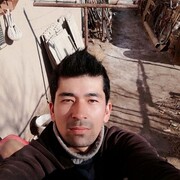  -,    , 31 ,   ,   