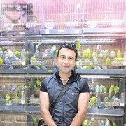  ,   Bayram, 40 ,   ,   , c , 