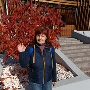  -,   , 55 ,     , c , 