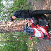  ,  Tema18502, 38
