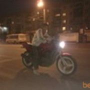 ���������� ���������, ���� ������� �������, 33 ����, ������������ ��� ������, ����� � ���������, c�������� ���������