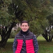 ���������� �����-���������, ���� ����� Daler, 24 ����, ������������ ��� ������, ����� � ���������