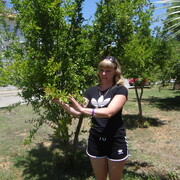 ���������� ����������, ���� ������� ����, 41 ���, ������������ ��� ������, ����� � ���������, c�������� ���������