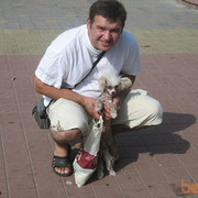 ���������� �����, ���� ������� ����, 46 ���, ������������ ��� ������