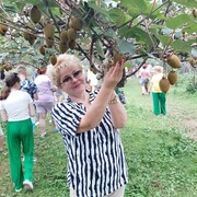 ���������� �������, ���� ������� �������, 55 ���, ������������ ��� ����� � ���������, c�������� ���������