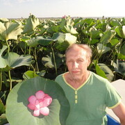  ,   , 63 ,  